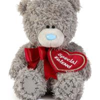 4" Special Friend Me to You Bear Extra Image 2 Preview